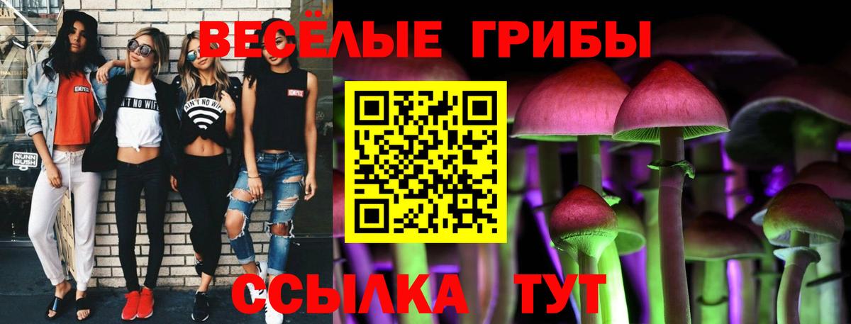 Москва  Псилоцибиновые грибы прущие грибы  Вход с VPN 